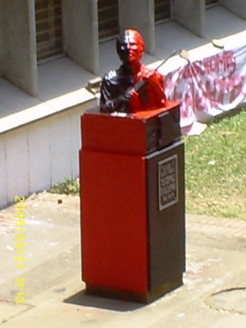 Monumento Camilo Torres by chuly de univalle