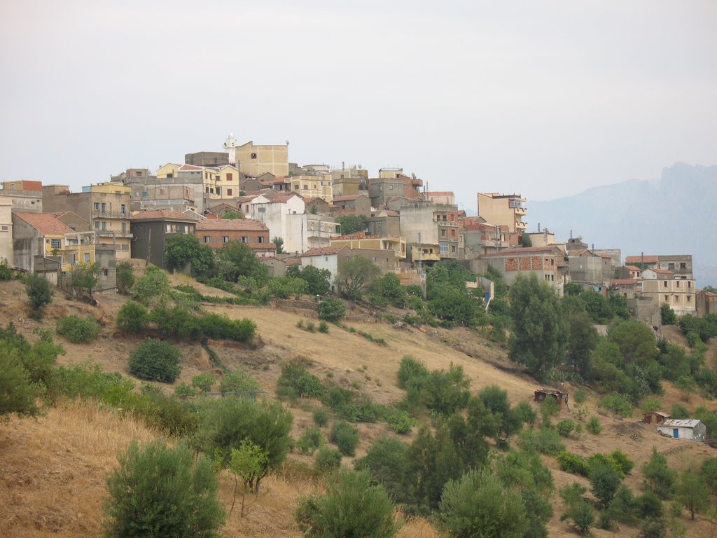 Taguemount El Djedid, vu d'el bour by chachoua