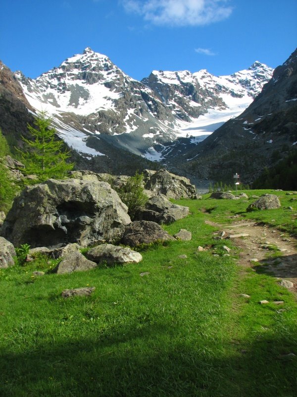 Alpe e Ghiacciaio del Ventina by g.orsucci | orsu.it