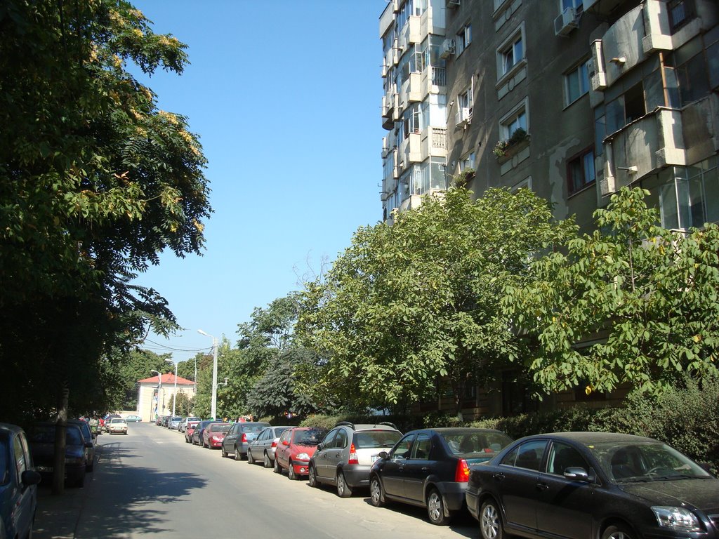 Giurgiului, Bucharest, Romania by Eugen Simion