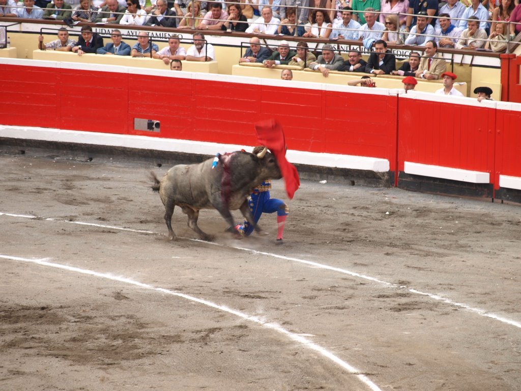 Plaza de toros de Vista Alegre,Bilbao by ciadoncha burgos