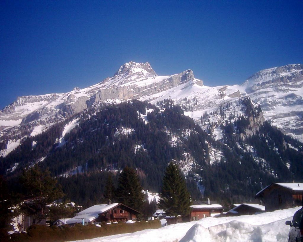 Les Diablerets by Cristina Wysocki