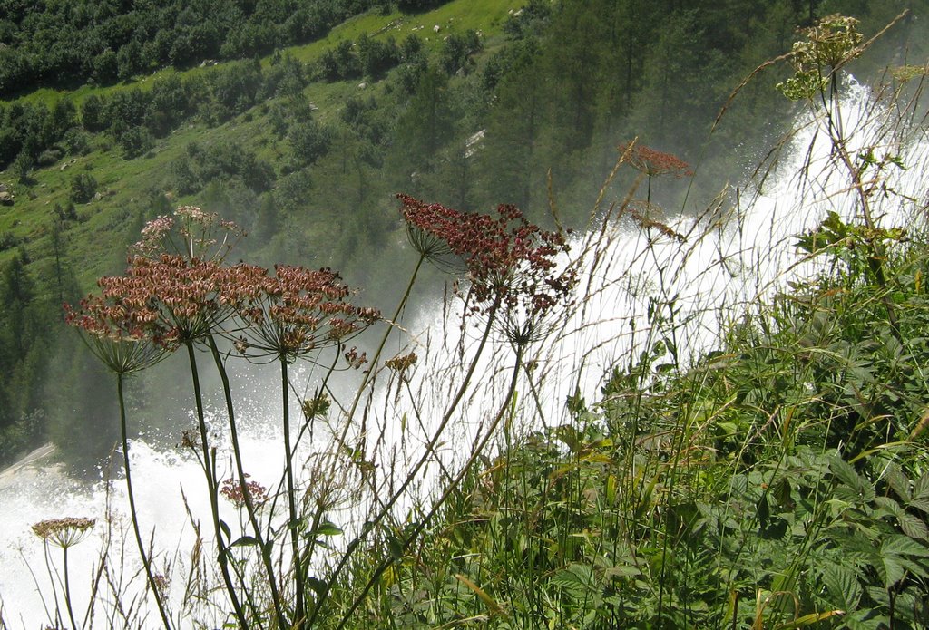 Spericolati spettatori by lucia missaggia