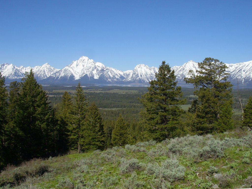 Grand Teton NP - Grand Viewpoint [2008] by bfey