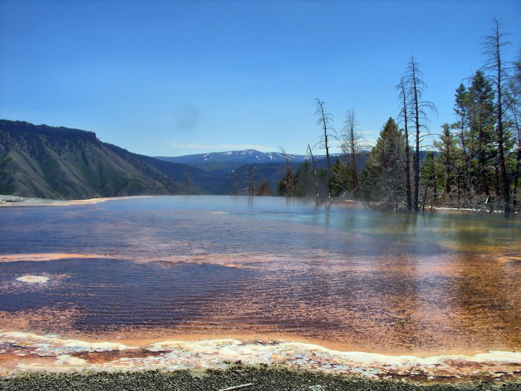 Yellowstone NP - Mammoth Hot Springs - lower part [2008] by bfey