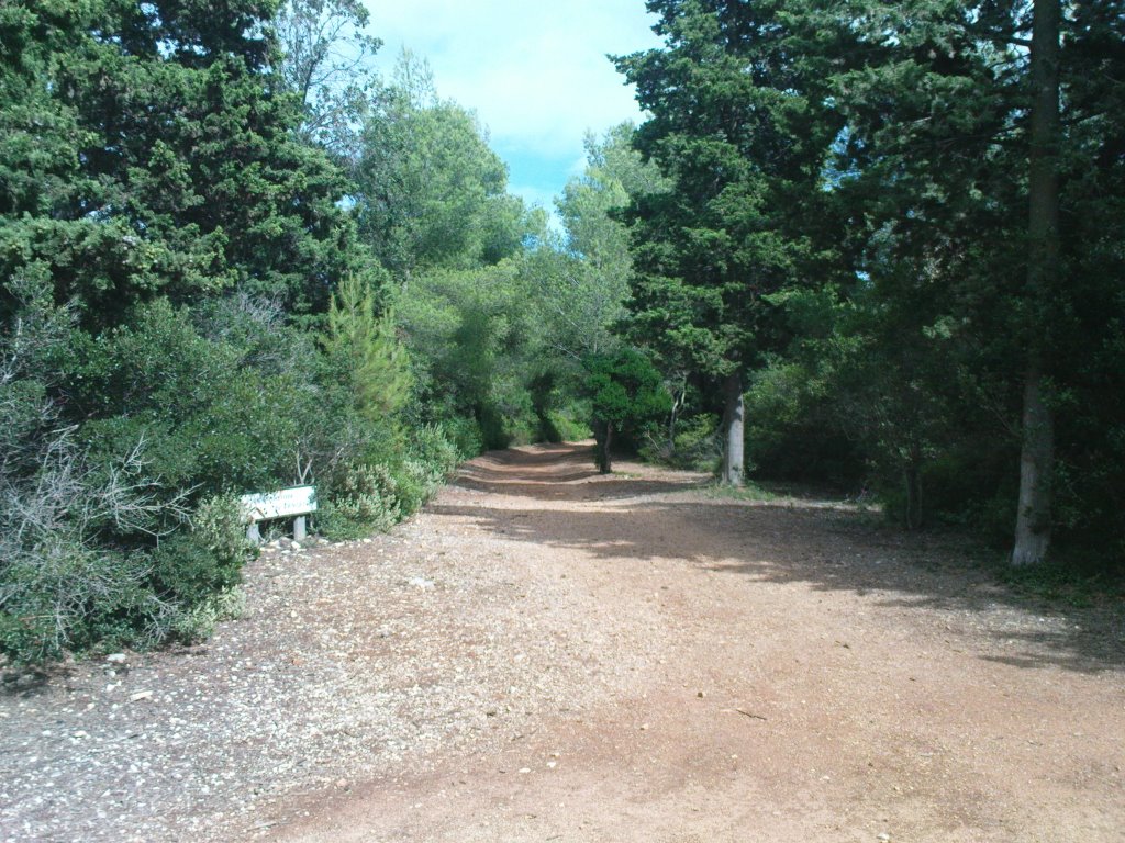 Sur l'île St Marguerite by tnt2mtb