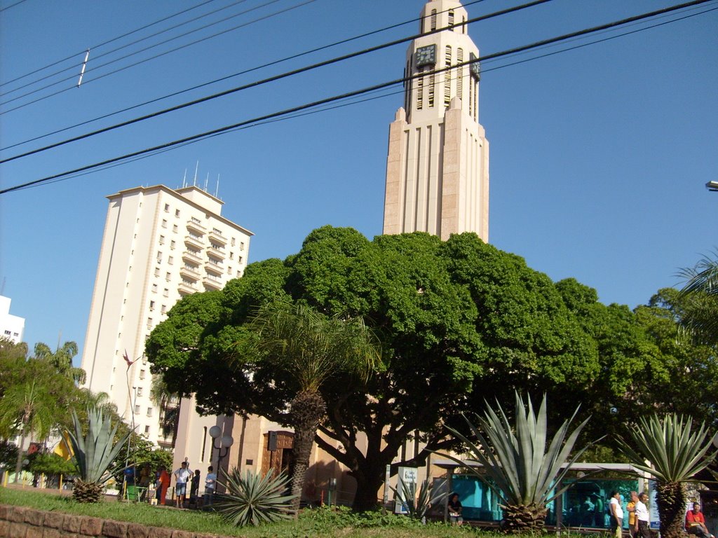 Catedral de São Sebastião. by Jômer