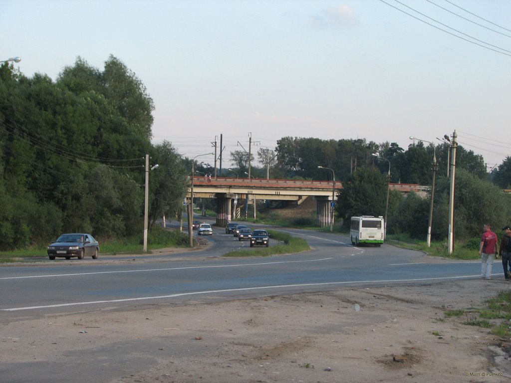 The road under the bridges / Дорога под мостами by Murrrr