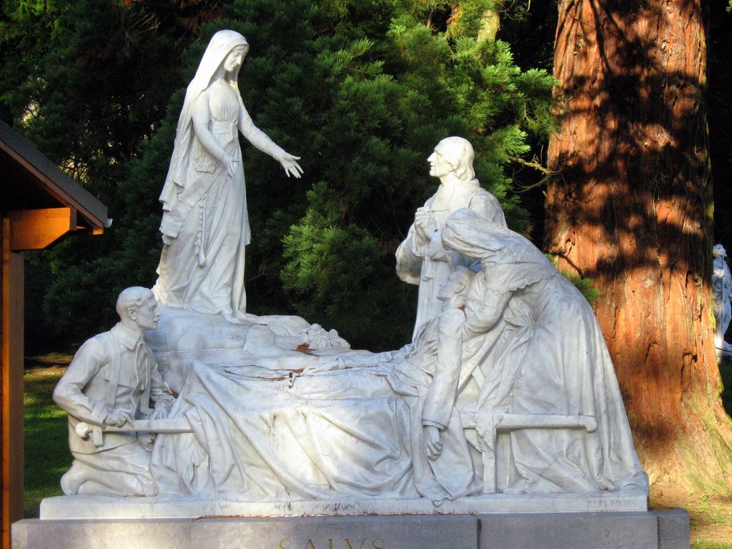 Lourdes, Maria Salus Infirmorum by sergio alessi