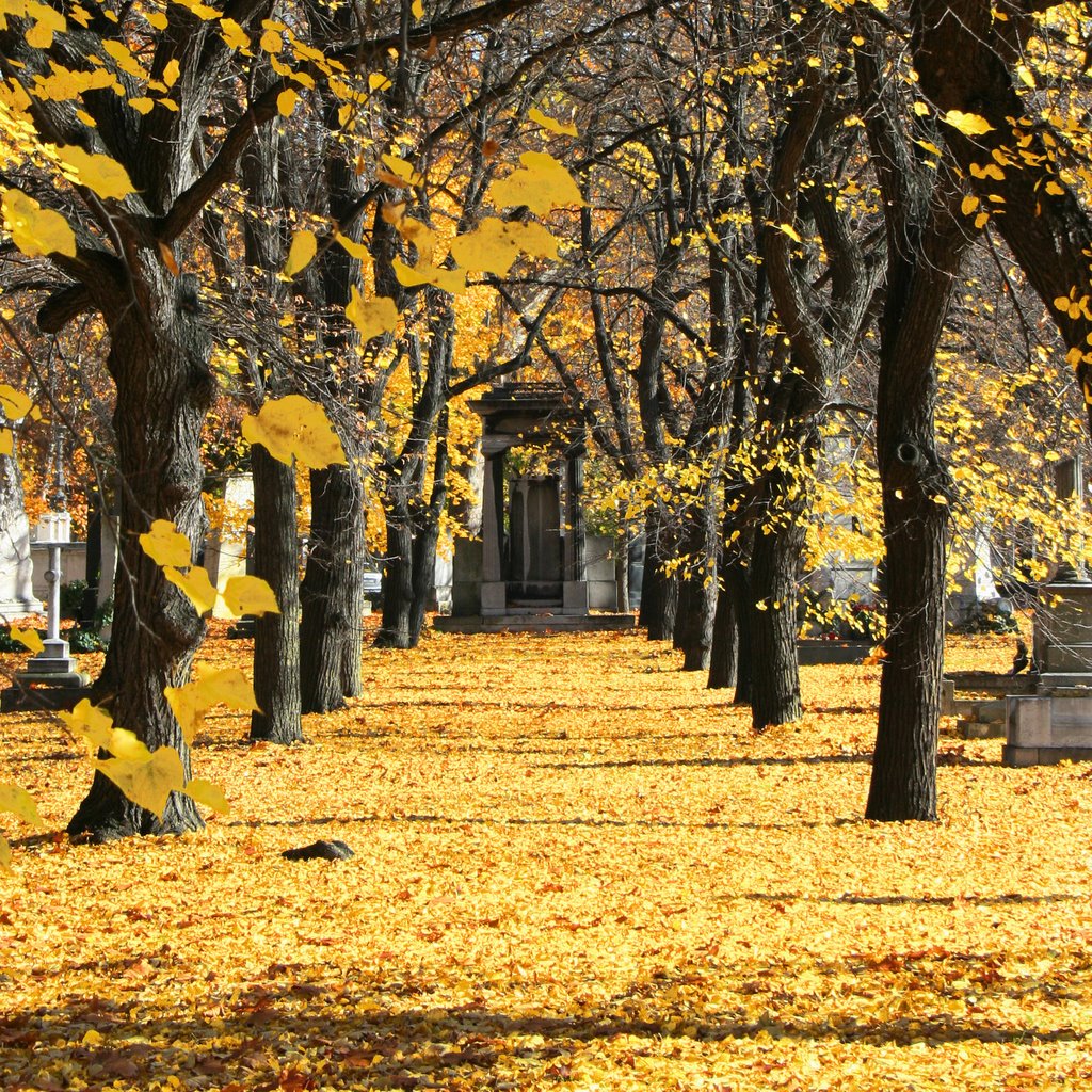 Budapest, Kerepesi Temető by Takkk