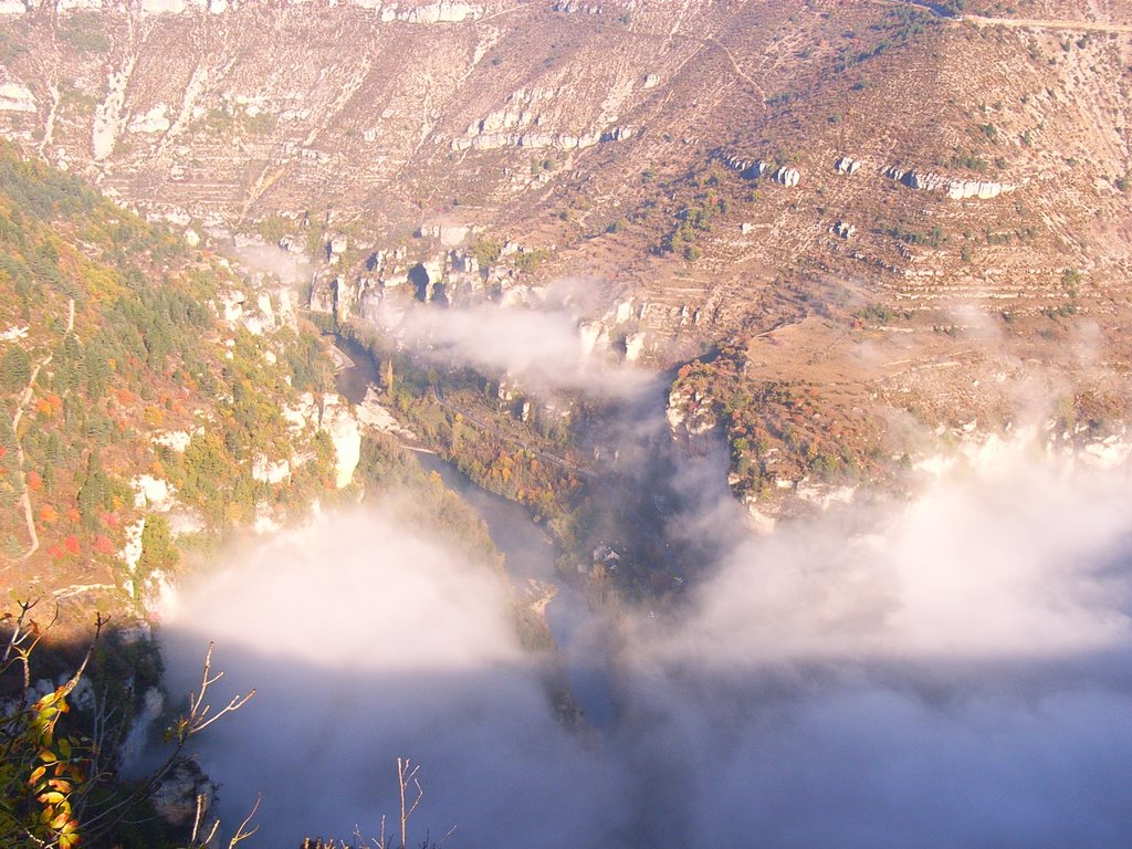 Gorges du Tarn bei St. Chély by Clemens Gilles