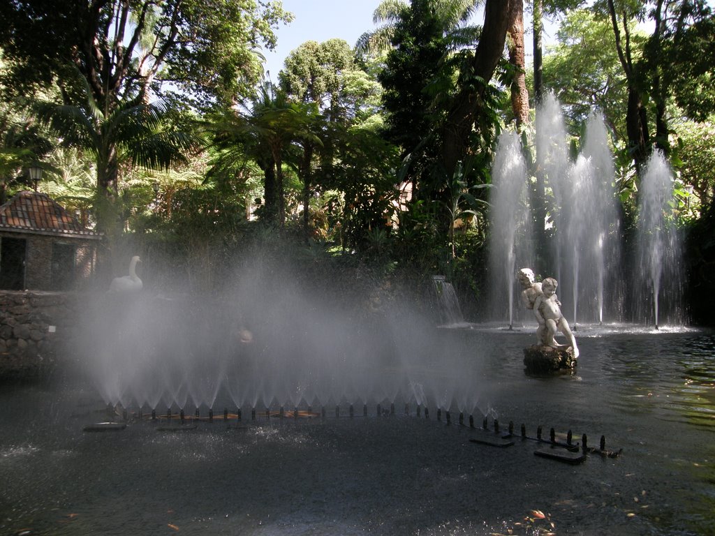 Fountain At Jardim Municipal by Pete Lush