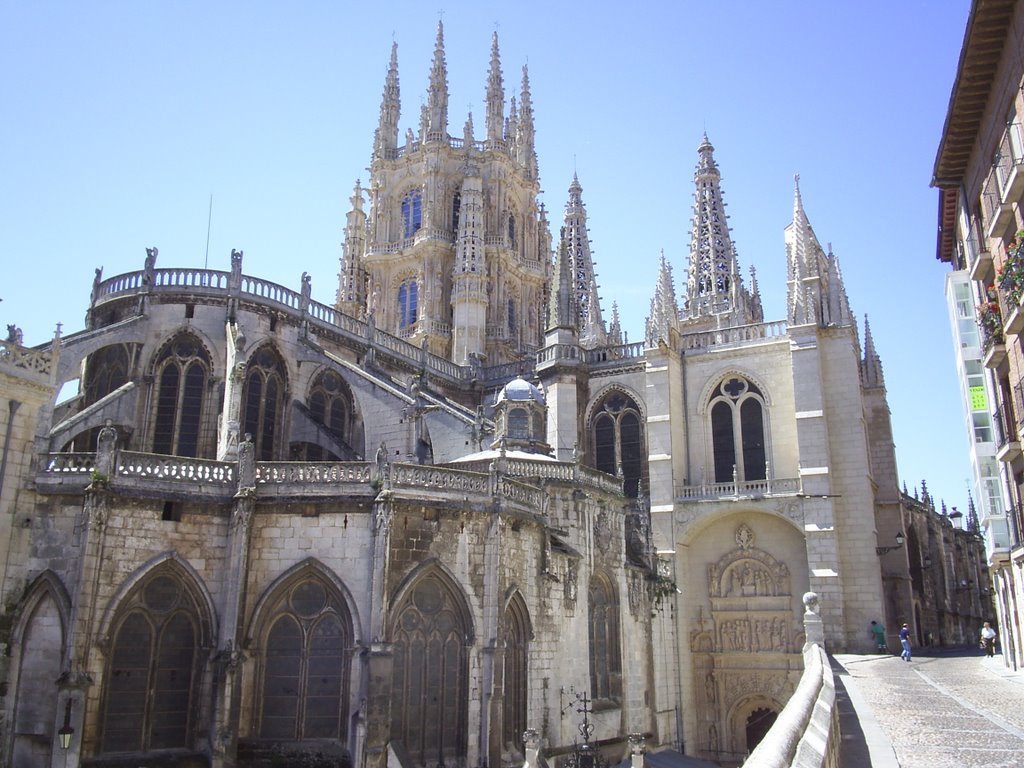 VISTA TRASERA CATEDRAL by homerbarrow