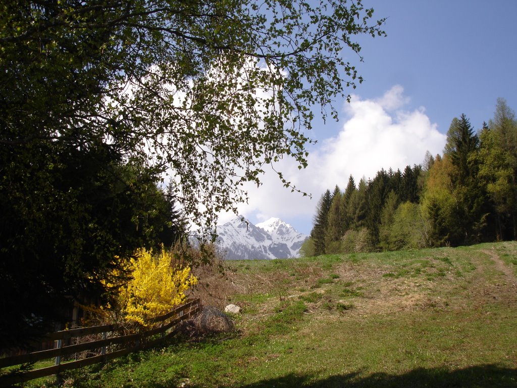 Blick zur Mutterer Alm by Funni