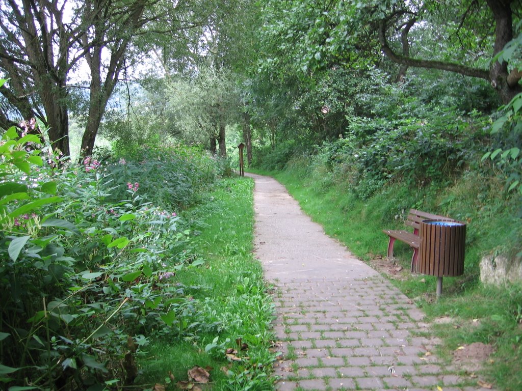 Uferweg an der Sauer by AndyBoll