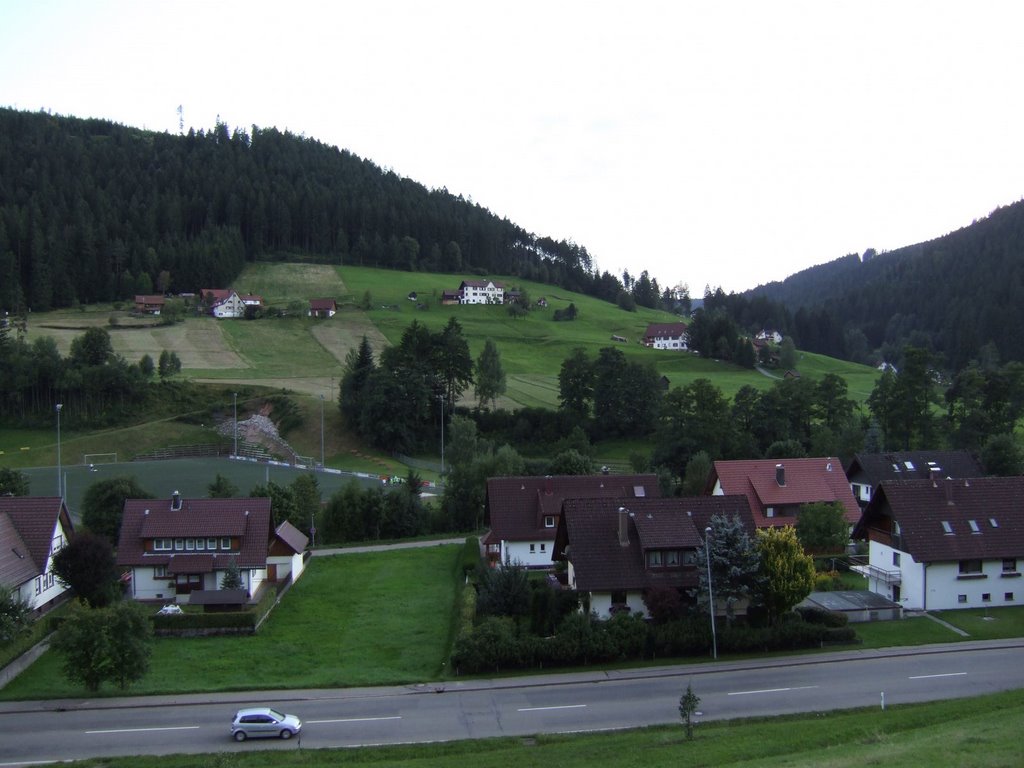 Am Berghang zwischen Mitteltal und Obertal: "Im Looch" by RDZfds