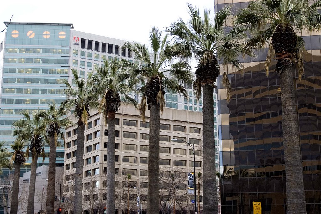 Almaden Blvd. - Downtown San Jose by Nathan Cook