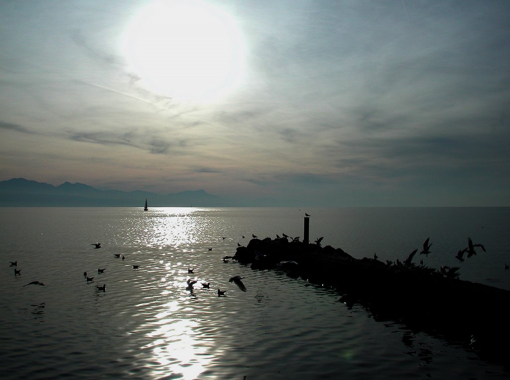 Le lac Léman à Vidy by lausannoise