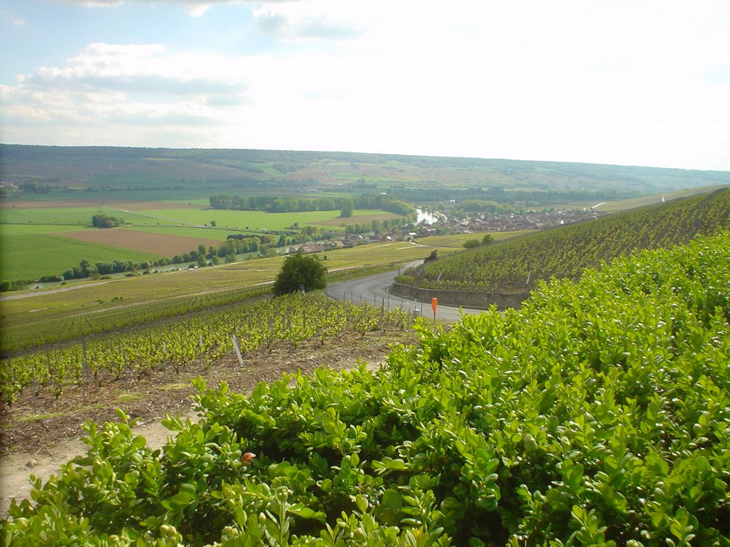 Cumières en Champagne - France (Vue d'Hautvillers) by Brigitte ETIENNE