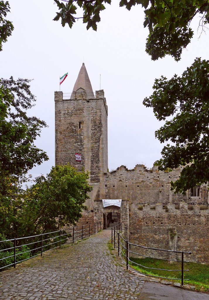 Die Rudelsburg bei Regen und Wind by christine.www