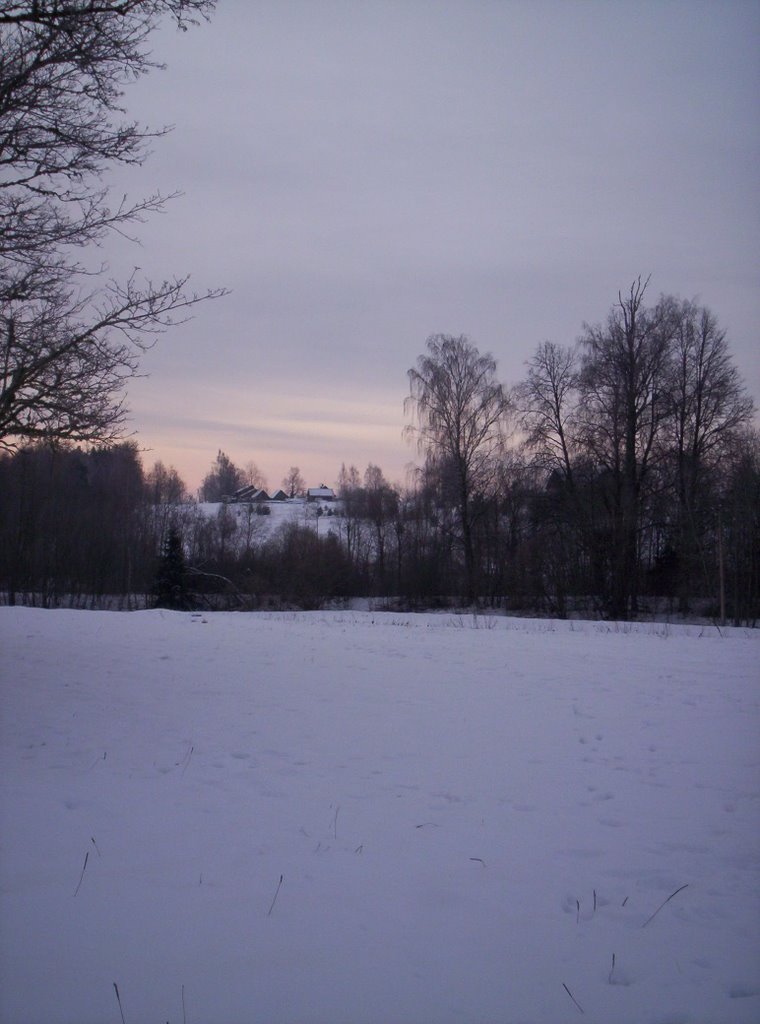 Gaujiena in winter by Artis Laivins