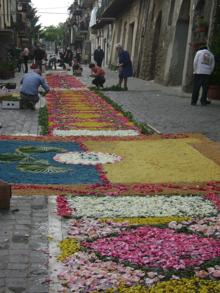 Corso Garibaldi all'Infiorata 2008 by Marziale