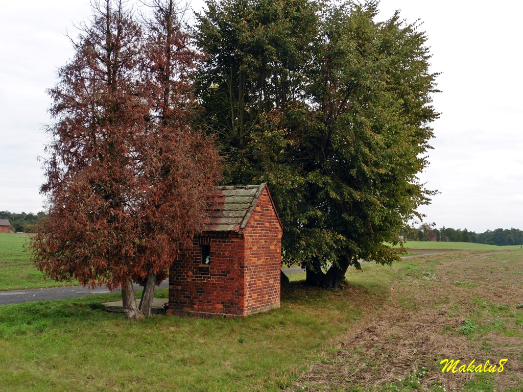 Gmina Toszek, Poland by Jacek P