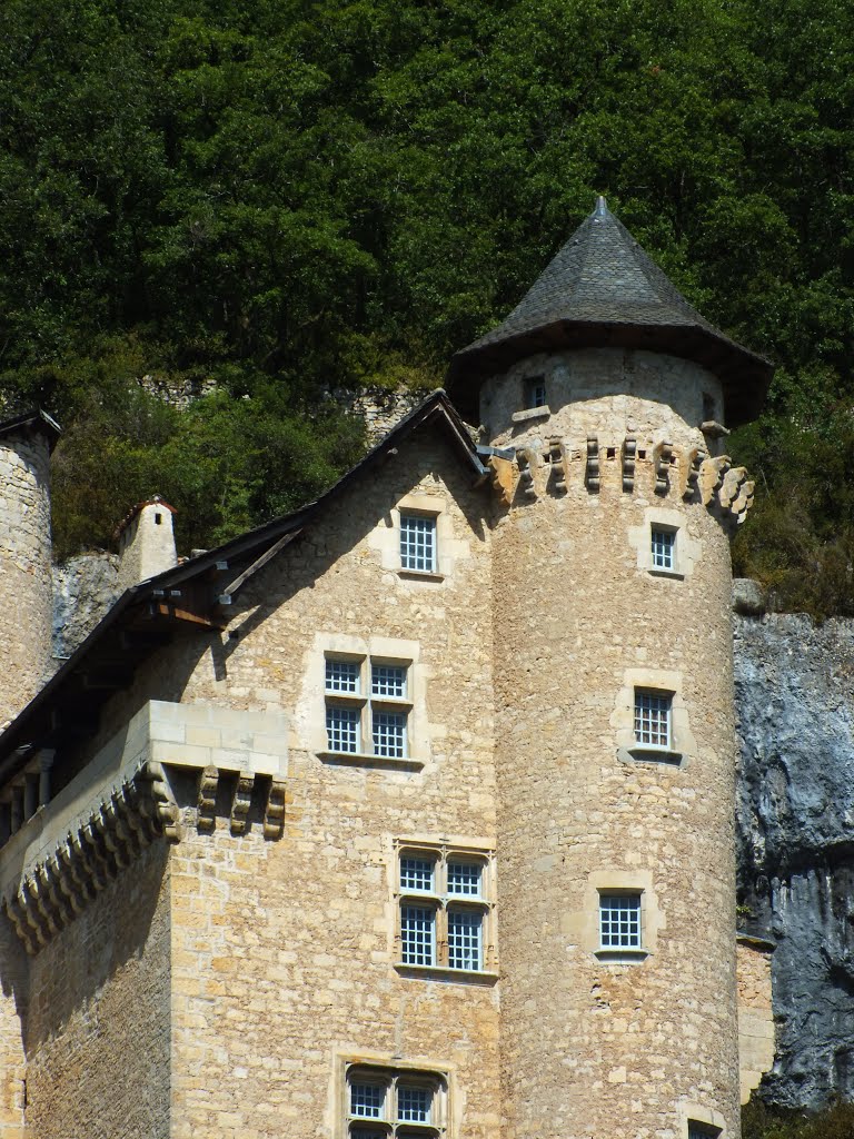 Le château de Larroque-Toirac (bourg) by Yann LESELLIER