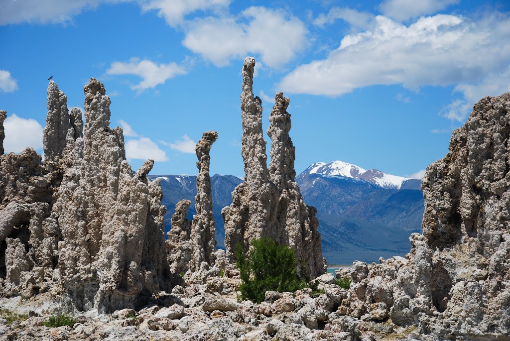 Californie - Mono Lake - 2016 by Jean-Luc Pierrat