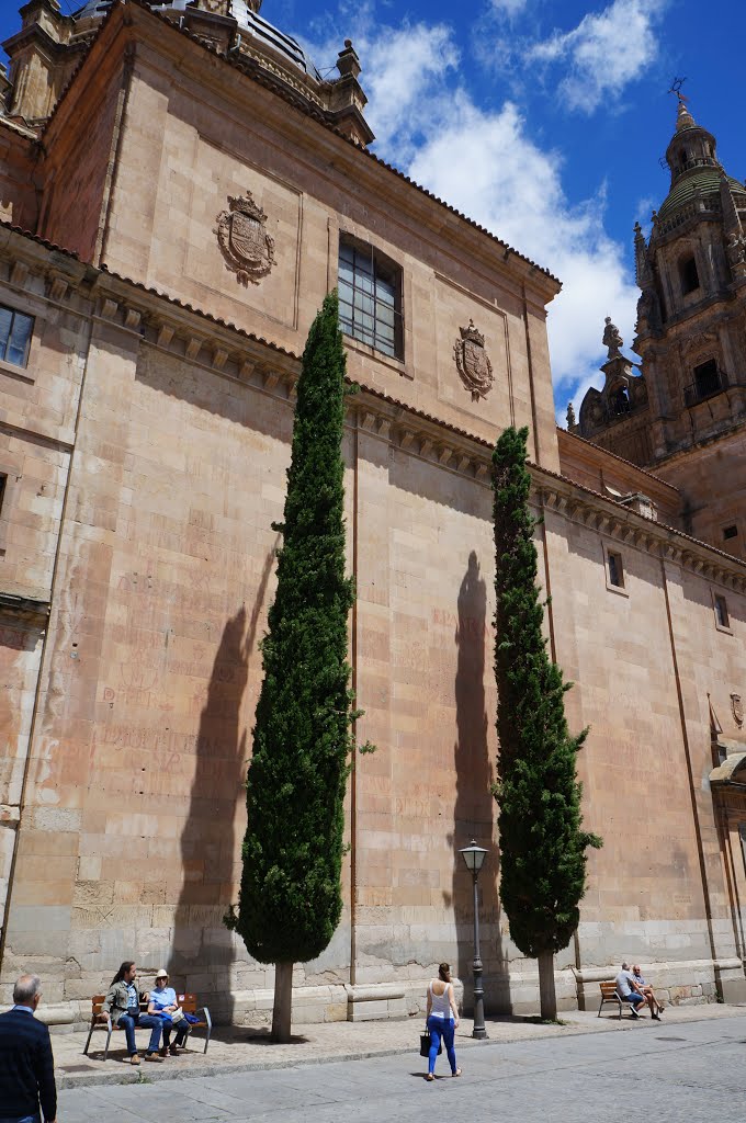 Salamanca, Spain by Michael D