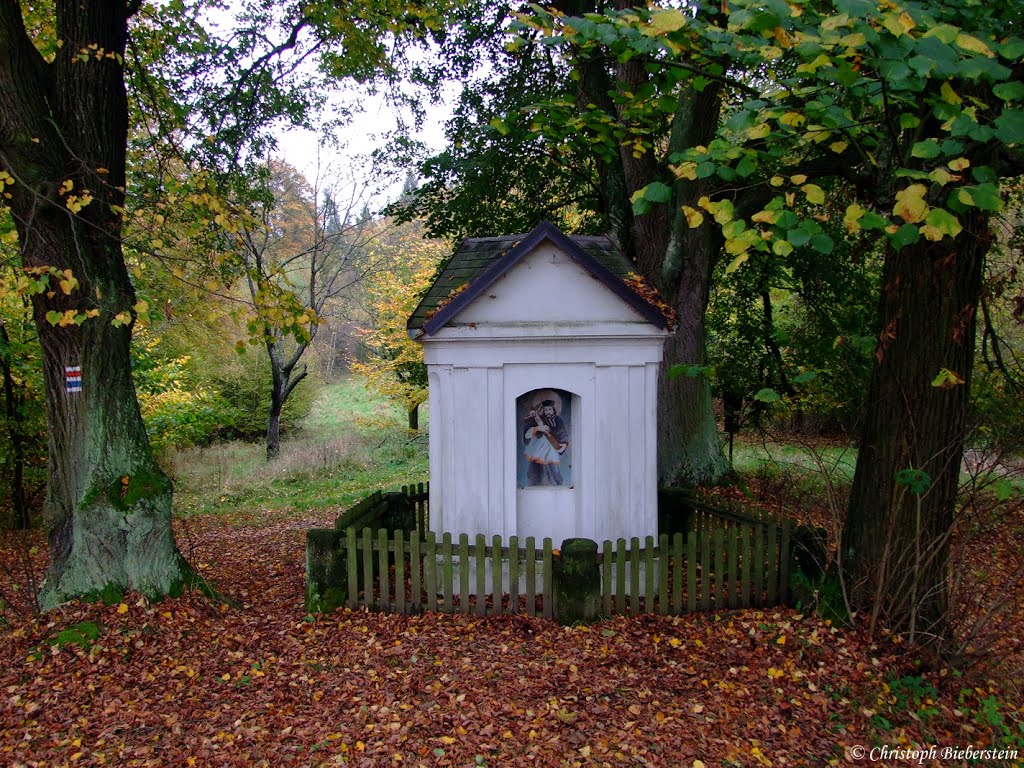 Luňákova kaple (Kaple Nejsvětější Trojice) by ChristophBieberstein