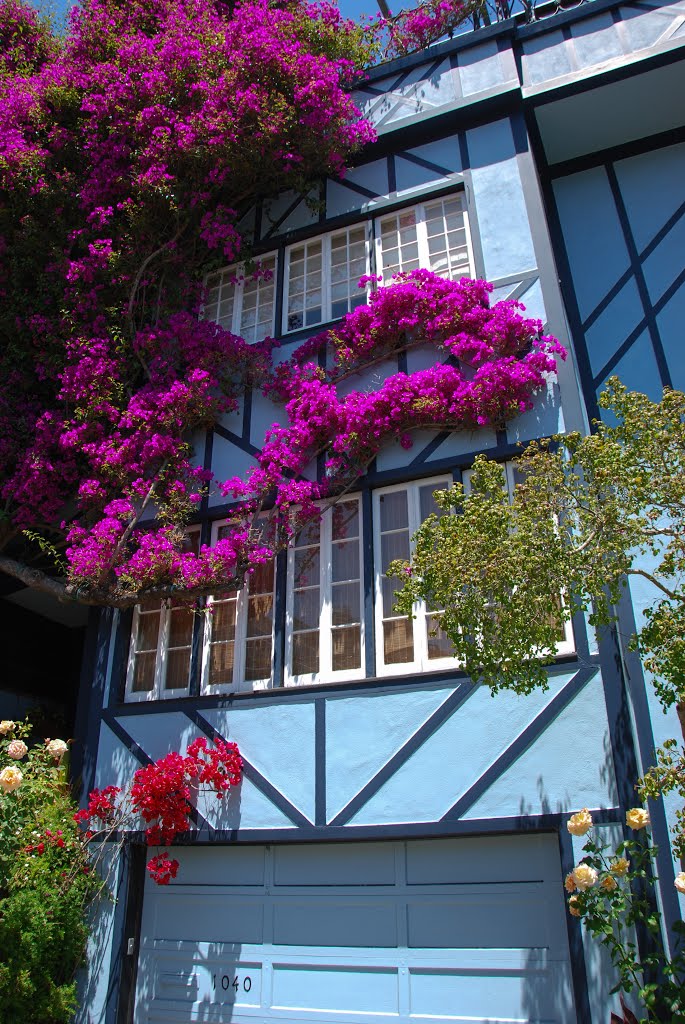 San Francisco - Lombard Street - 2016 by Jean-Luc Pierrat