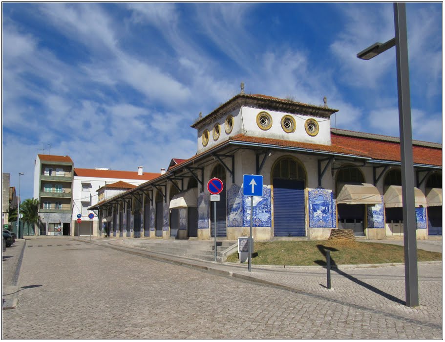 Mercado Municipal de Santarém by André Barragon