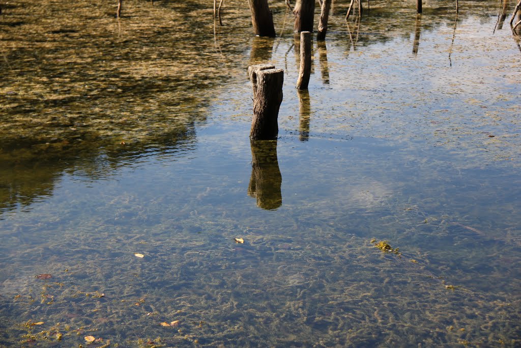 Khmil'nyts'kyi district, Vinnyts'ka oblast, Ukraine by Vyacheslav Loginov