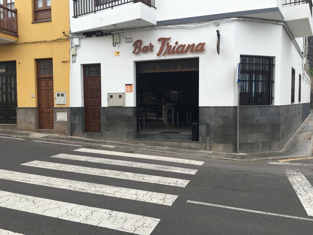 38480 Buenavista del Nte., Santa Cruz de Tenerife, Spain by Ropuh