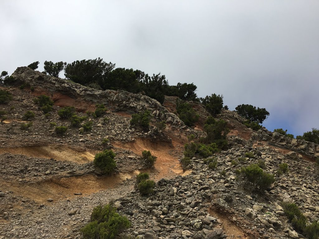 Buenavista del Norte, Santa Cruz de Tenerife, Spain by Ropuh