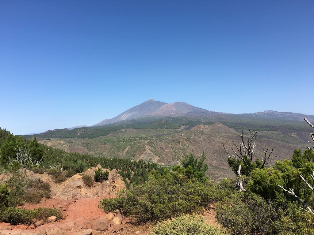 Buenavista del Norte, Santa Cruz de Tenerife, Spain by Ropuh