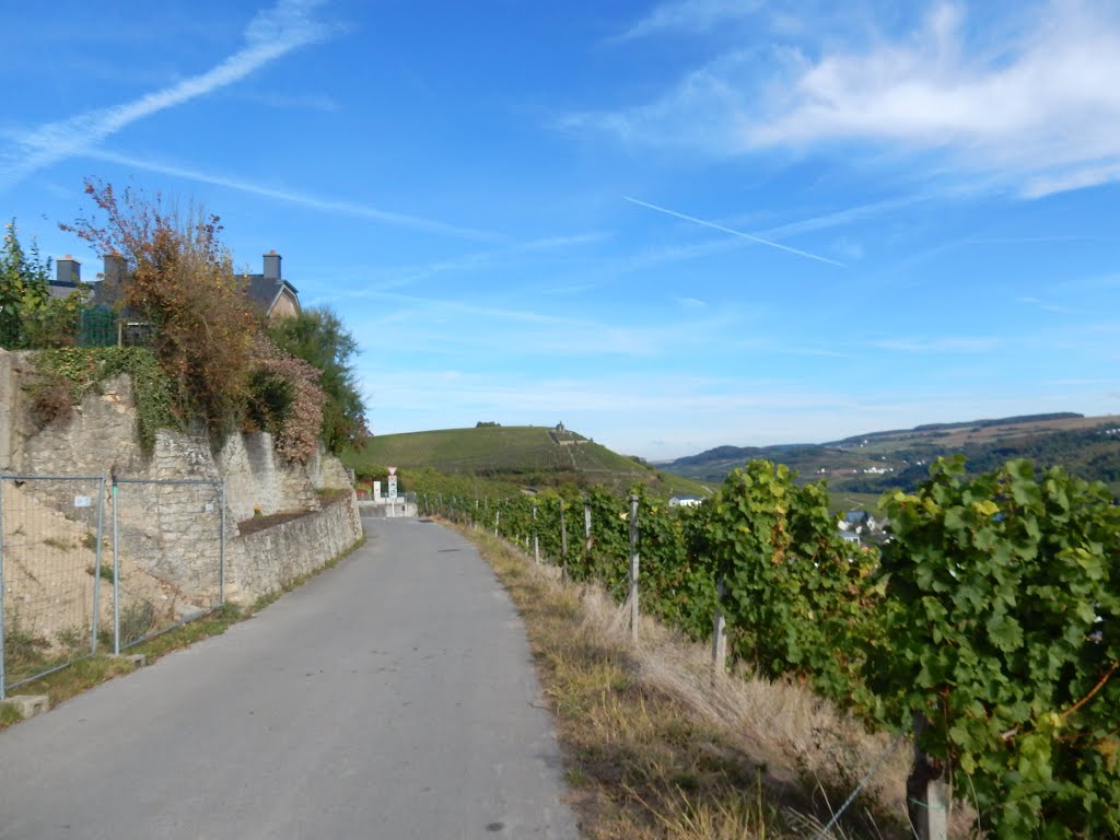 Wormeldange, Luxembourg by Nikos Sarantakos