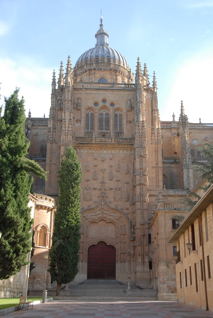 Catedral Nueva de Salamanca by Enrique Fernandez Ma…