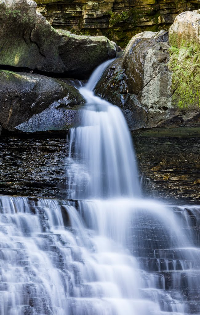 Great Falls of Tinkers Creek by Tudor ApMadoc