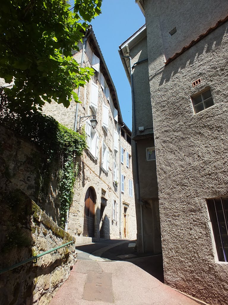 Belle demeure à Figeac (rue Saint-Thomas) by Yann LESELLIER