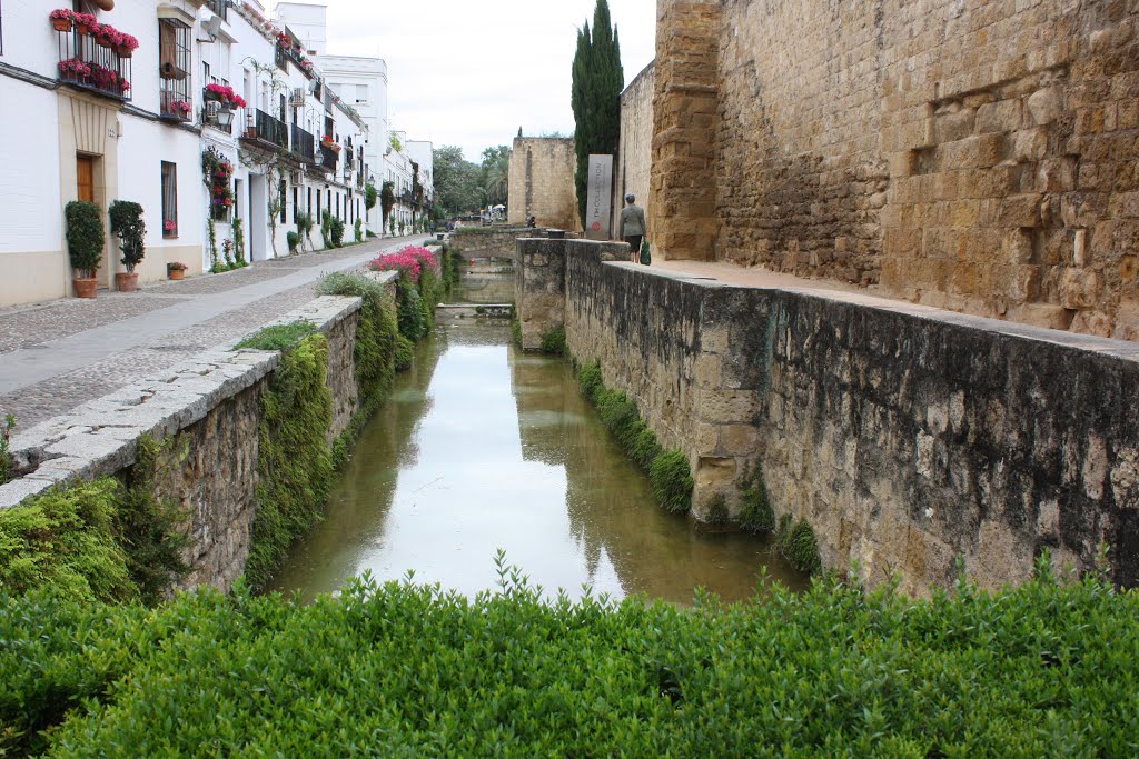 Calle Kairouan by Felisa Ramos Cruz