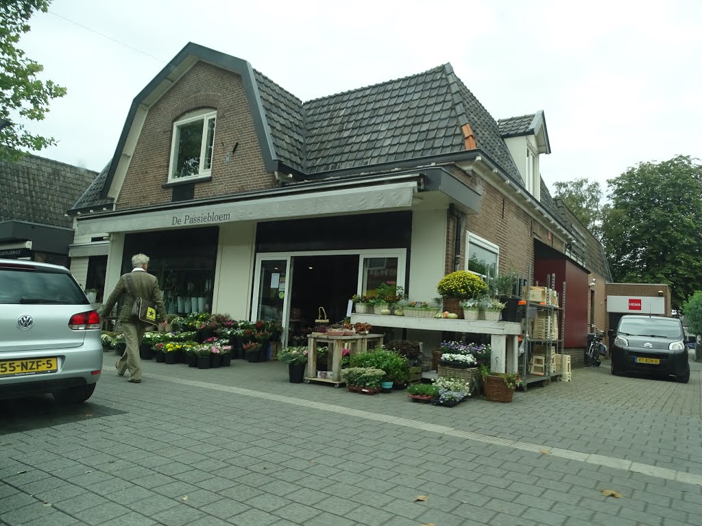 Nunspeet, Netherlands by Anne van Loozenoord