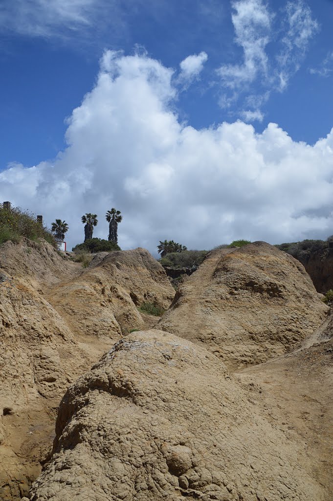 Torrey Pines, San Diego, CA, USA by PavolG