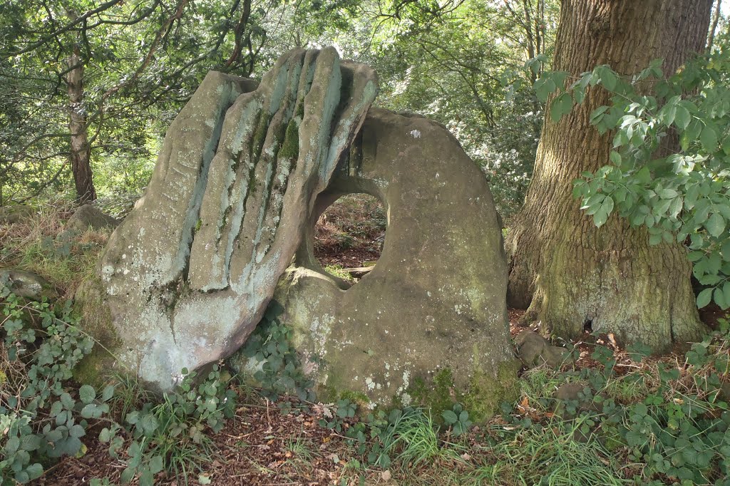 The Devil's Ring & Finger by Meic W Caerdydd