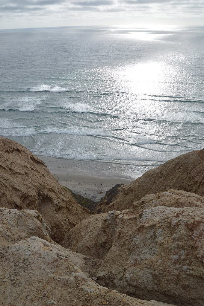 Torrey Pines, San Diego, CA, USA by PavolG