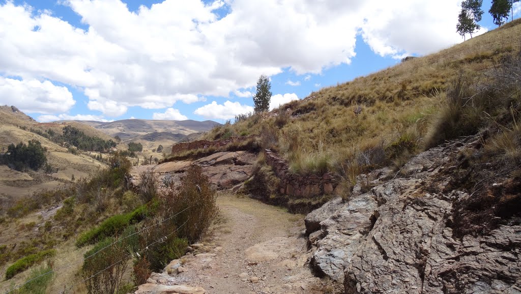 Por el mismo sendero by Walter Beteta Pachec…