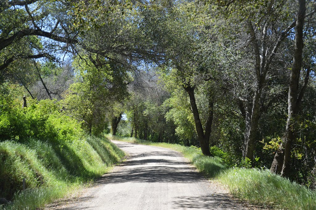 San Diego County, CA, USA by PavolG