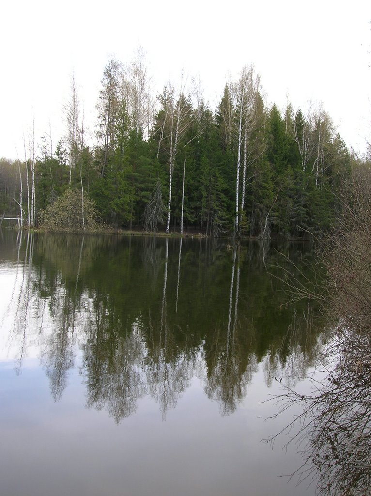 Pond near Vyshmanovo by Alexey Seregin & Irina Seregina