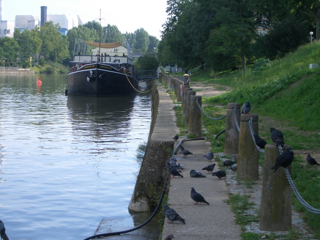 Stuttgart Bad Cannstatt, Neckar mit Theaterschiff "Frauenlob" by re.54_h